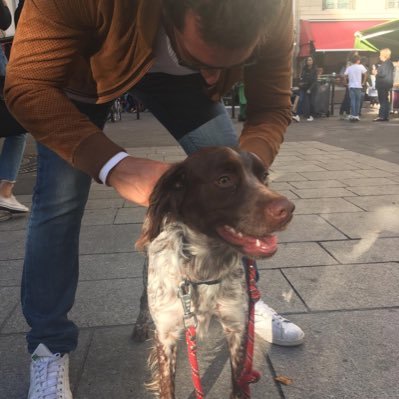 gxffms's profile picture. oui.