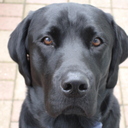 Andy Forster - @f_zz - Twitter