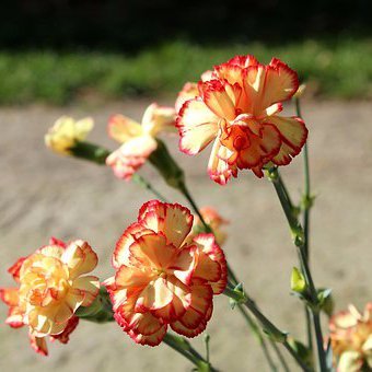 tjdkach82's profile picture. hmmmm