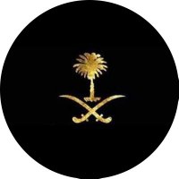 Jawaher⚜️. (@rex__3) Twitter profile photo
