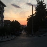 Zeynep (@zeynepsesa) 's Twitter Profile