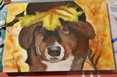 NoyezMalika's profile picture. I love to paint, to craft, in and outdoor decor, working in my garden, diy, my husband....