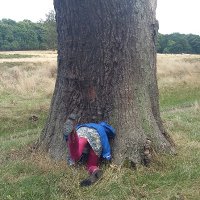 Elizabeth Parker (@sylvan_solace) 's Twitter Profile