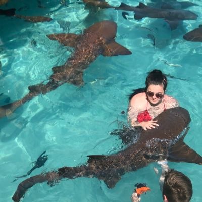 bella27823404's profile picture. 