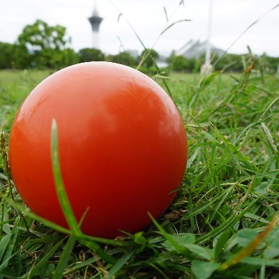 yanazocj's profile picture. 〇〇