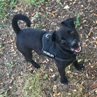 Helen (@honeill456) 's Twitter Profile