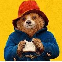 Paddington Bear (@padding88972703) 's Twitter Profile