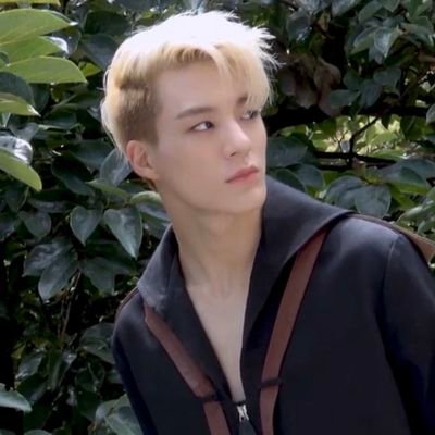 Profile Picture of Tim | Roman Holiday Outsold (@romanzolanskai) on Twitter