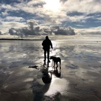carrie vickers (@carrievickers5) 's Twitter Profile Photo carrie vickers (@carrievickers5) 's Twitter Profile Photo