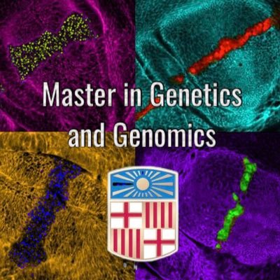 We are the Master in Genetics and Genomics @GeneticsUB @BiologiaUB @UniBarcelona follow us to know more about what we do!