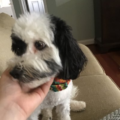 CollinWheeler17's profile picture. 