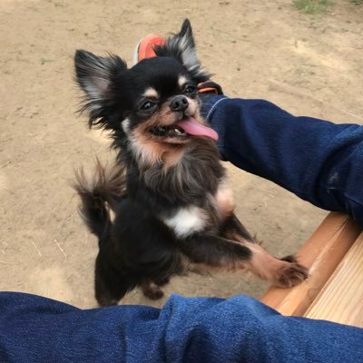 にゃーにゃさんのプロフィール画像