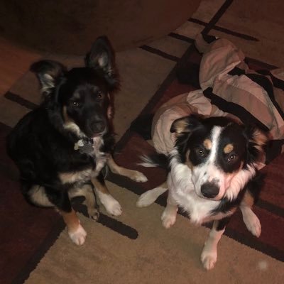 David_Jhawk's profile picture. 