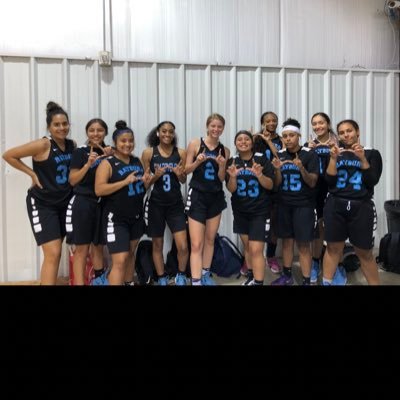 LadyTexansBask1's profile picture. 🏀
