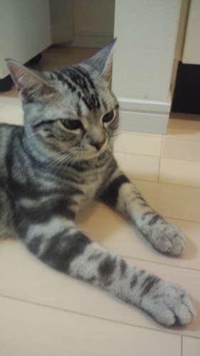 bmw_330i's profile picture. 40代の自営業。