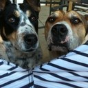 ben reich - @UTUBEtv - Twitter