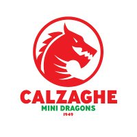 Calzaghe Mini Dragons (@calzaghemd) 's Twitter Profile