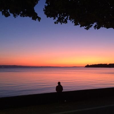 feminent_intel's profile picture. 