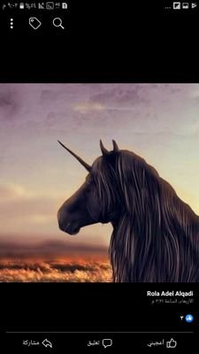 CNoIrYQtnv6TCSC's profile picture. بنت رجل يخاف الله فأصبحت اسير على خطاه