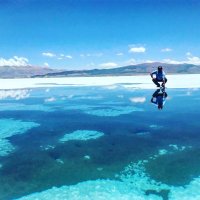 Martin Palavecino (@mpalavecino_) 's Twitter Profile