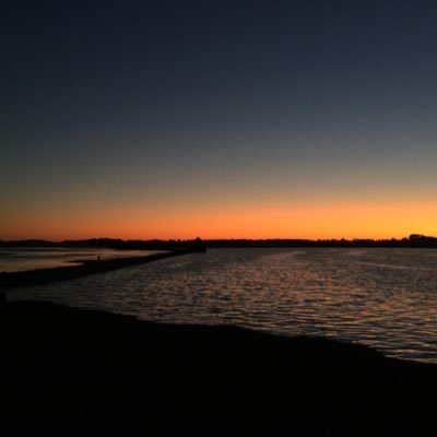 LeTrevedic's profile picture. En apprentissage innovant