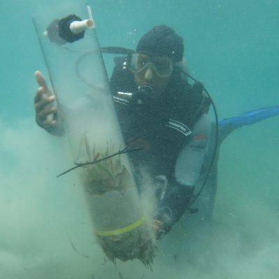 Marine ecology lab at @FIU led by Dr. Justin Campbell. We study the effects of global changes on seagrass ecology throughout the Gulf of Mexico and Caribbean