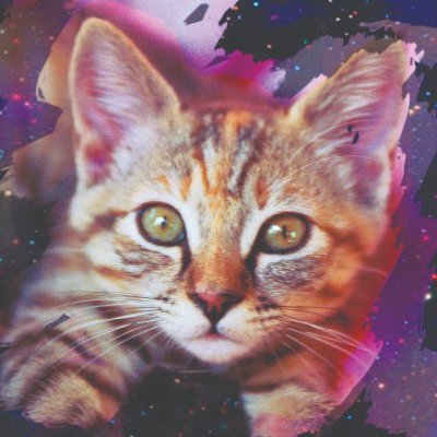 MyCatToldMe's profile picture. My Cat Told Me: The Magical Journeys of BrambleBerry Rose
COMING when the WORLD IS NORMAL AGAIN! Archway, Simon & Schuster
https://t.co/1bk5fbkUCl