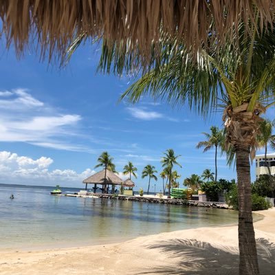 imdzapp's profile picture. 