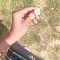 Omaima Fallatah (@omaimaaf) 's Twitter Profile