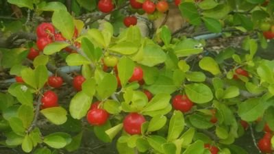 AntyFabienne's profile picture. 