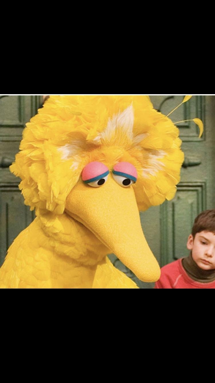 FlexSeal9's profile picture. Ah