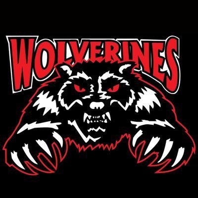 WolverinesU18AA Profile Picture