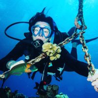 Underwater Wahine 💙🌊 (@tracenator58) 's Twitter Profile