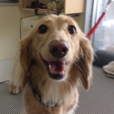 bjcfm's profile picture. 