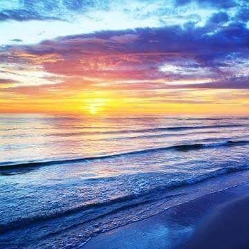 musicnote232's profile picture. Not really important