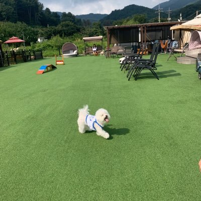 12Koq0UqSyK6fhK's profile picture. 