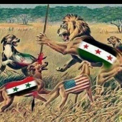 بدوي امقت ابو المدنية .شوي افكر. باحث بالشأن السوري . مركز أبحاث .
