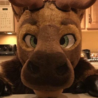 Yellowstone Addict | STEM fur with M.S. | Pianist | Bleat | Meow | Έλληνας | 
Fursuiting/personal account for Iskande and Terrance
Suits by BNC and Roofur