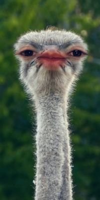 Myaintlifeswell's profile picture. 