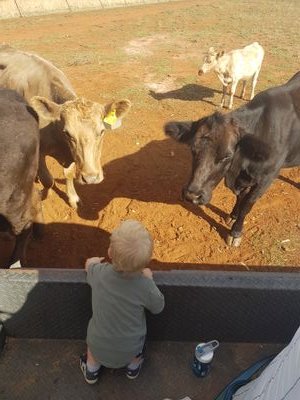 chapple_craig's profile picture. Dad of 4. Maintenance planner at a mine near Parkes. 
Trying to be a farmer in my spare time.