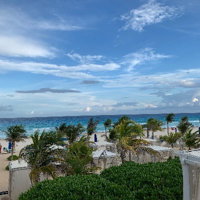 RyanS1005's profile picture. cars, sports, food, family, and trading