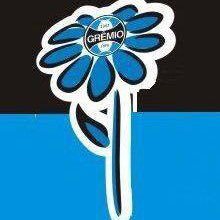 Twitter oficial do Núcleo de Mulheres Gremistas, grupo existente desde 2004. Com o Grêmio como e onde o Grêmio estiver! 🇪🇪🇧🇼💙💙💪🏻
