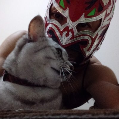 筋トレ・食・猫・瞑想を愛しています。学生時代ガリガリ→社会人でもガリガリ→人生一度きり太ってみたい→覚悟を決める→フトリストとして活動開始→47.2kg→4か月で51.4kg→4.2kg増量達成!現在も増量中。普段は会社で仕事しつつ終わったらジムで筋トレして生きています。筋トレ、食、太る方法、時事を中心につぶやきます。