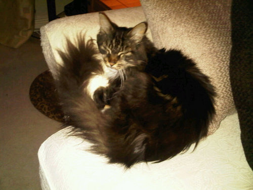 VikkiCunliffe's profile picture. Passionate about doing the right thing hence my motto is 'Be true to myself and others'.