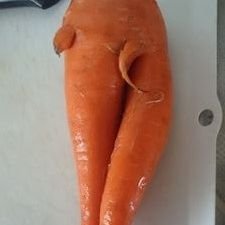 Gucchi_komu's profile picture. 田舎市役所職員｜民→官あり｜同業の皆さんのご意見、共有させてください！無言フォローご容赦をm(__)m ｜職務経歴:スポーツ→広報→税務→(出向)→防災→環境→税務→出納→環境(R7.4～)｜趣味:野球、サッカー、ゴルフ、ドラム、車など｜FP2級｜防災士｜がんサバイバー(病気休暇取得経験者)