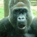 Howard Barker - @3871Barker - Twitter