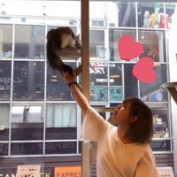 めぐみる (@megumilk6480) 's Twitter Profile