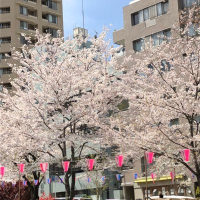 naoets_u's profile picture. ジャンルを問わず様々な方のTweetを見ています。無言フォローお許しください。