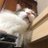 未来のアイコン