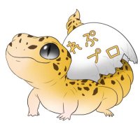 れぷたいるず プロ 高松本店 (@reptiles_pro) Twitter profile photo